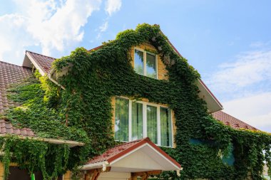 Yeşil ev. Seçici odaklı arkaplan ve metin için alanı kopyala