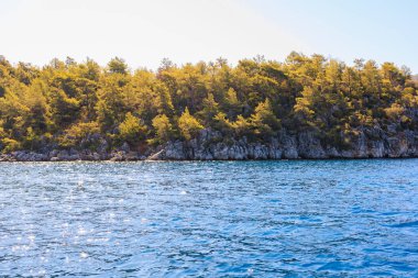 Yeşil kayalık sahil. Seçici odaklı arkaplan ve metin için alanı kopyala