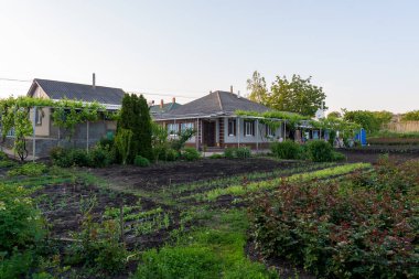 Tipik bir çiftçi evi Doğu Avrupa 'da. Seçici odaklı arkaplan ve metin için alanı kopyala