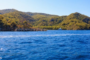 Yeşil yardım adası. Seçici odaklı arkaplan ve metin için alanı kopyala
