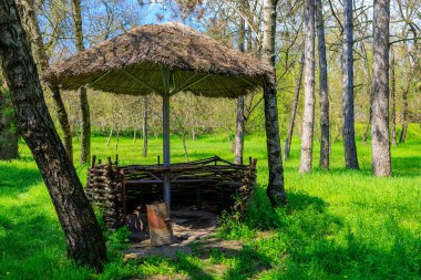 Köyün çardağı. Seçici odaklı arkaplan ve metin için alanı kopyala
