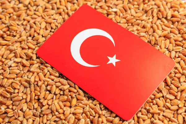 Buğday tanelerinden oluşan bir arka planda hindi bayrağı. Tahıl anlaşması ve dünya gıda güvenliği kavramı. Doku veya arkaplan