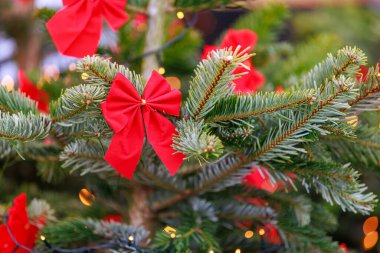 Üzerinde kırmızı kurdeleler olan bir Noel ağacı. Ağaç ışıklarla süslenmiş ve fiyonklar kırmızı.