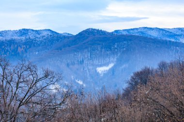 Kar ve ağaçlarla kaplı bir dağ sırası. Gökyüzü mavi ve dağlar karla kaplı.