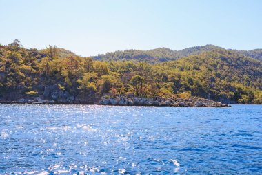 Yeşil yardım adası. Seçici odaklı arkaplan ve metin için alanı kopyala