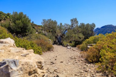 Antik bir şehrin antik kalıntıları. Seçici odaklı arkaplan ve metin için alanı kopyala