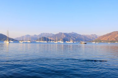 Bir adam maske ve şnorkelle dalıyor ve deniz tabanını inceliyor. Seçici odaklı arkaplan ve metin için alanı kopyala.
