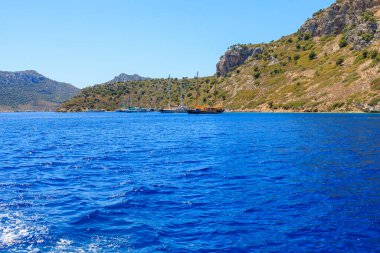 Yeşil yardım adası. Seçici odaklı arkaplan ve metin için alanı kopyala