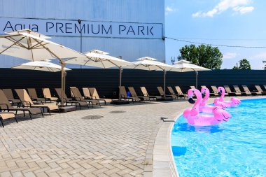Aqua Premium Park 'taki havuzda pembe bir flamingo yüzüyor. Flamingo birkaç şezlong ve şemsiye ile çevrilidir. 8 Haziran 2024 Balti Moldova