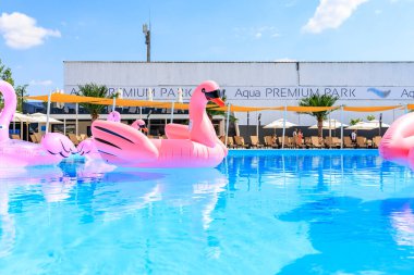 Bir grup pembe şişme flamingo havuzda yüzüyor. Havuz şemsiyeler ve sandalyelerle çevrili ve arka planda birkaç kişi var. Sahne eğlenceli bir şekilde aktarılıyor. 8 Haziran 2024 Balti Moldova