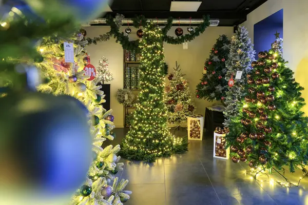 Üzerinde ışık olan bir oda dolusu Noel ağacı. Oda birçok farklı süs ve ışık çeşidiyle dekore edilmiştir. 15 Kasım 2023 Balti Moldova