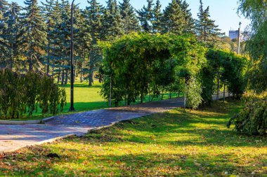 Yolu ve çardağı olan bir park. Çardak asmalarla kaplı ve patika tuğladan yapılmış. Park ağaçlarla çevrili ve huzurlu bir atmosferi var.