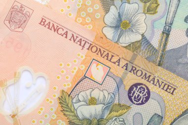Çiçek desenleri ve güvenlik özelliklerine sahip Rumen para birimi yakın plan.