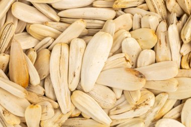 Bir yığın beyaz ayçiçeği çekirdeği. Bazıları bir bütün, bazıları kırık. Yığın bir kasenin içinde.