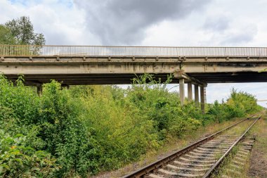 Abandoned railway tracks and overgrown vegetation under concrete bridge. clipart