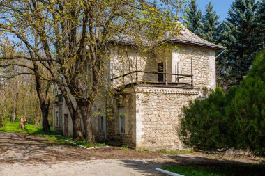 İlkbaharda ağaçlarla çevrili taştan bir ev..