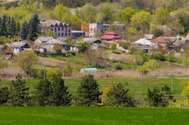 Bahar mevsiminde yemyeşil ve antika evleri olan sakin bir köy..
