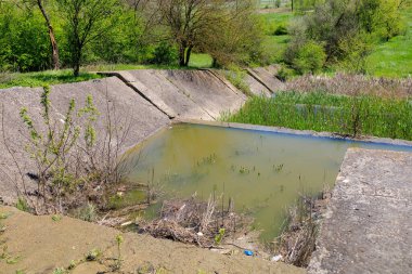 Bahar mevsiminde yemyeşil ve durgun sularla kaplanmış bir kanal..