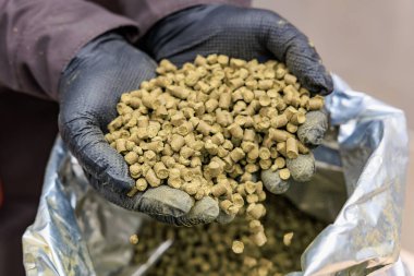 Bira demlemek için eldiven takılmış zıplama toplarını yakın plan..