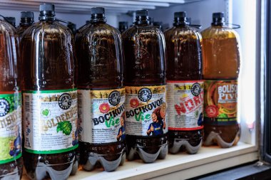 Soğutucuda çeşitli şişelenmiş kvass içecekleri sergileniyor. 1 Şubat 2024 Balti Moldova.