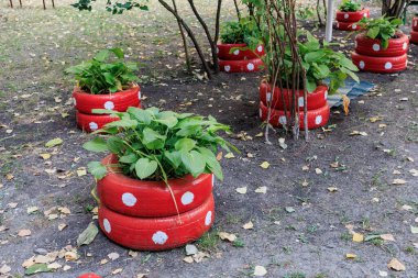Açık hava bahçesinde yeşil bitkileri olan yaratıcı kırmızı lastik ekiciler..