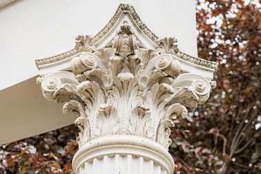 Korint sütun sermayesini karmaşık yaprak tasarımları ve mimari güzelliklerle süslemek.