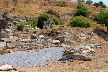 Ephesus antik şehrinin kalıntıları. İnsanlığın Antik Yunan ve Antik Roma 'dan kalma kültürel mirası. Seçici odaklı arkaplan