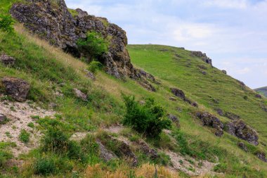 Hilly Vadisi. Seçici odaklı arkaplan ve metin için alanı kopyala.