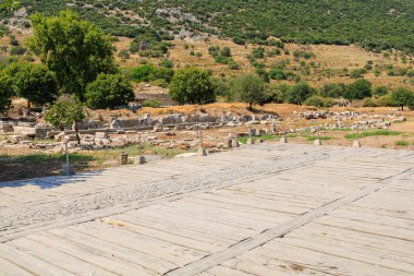 Ephesus antik şehrinin kalıntıları. İnsanlığın Antik Yunan ve Antik Roma 'dan kalma kültürel mirası. Seçici odaklı arkaplan