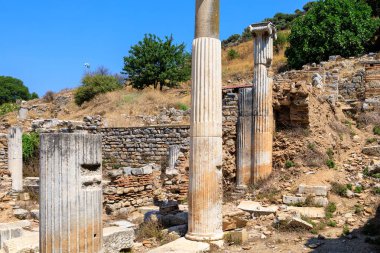 Dünyanın yok olan harikası Efes 'in kalıntıları üzerine sıradışı bir oval antika kolon. Seçici odaklı arkaplan