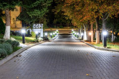 Şehir kaldırımının gece aydınlığı. Seçici odaklı arkaplan ve metin için alanı kopyala