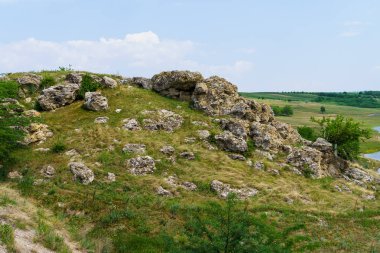 Hilly Vadisi. Seçici odaklı arkaplan ve metin için alanı kopyala.