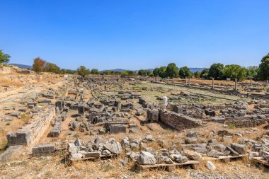 Arka planda birkaç ağaç olan büyük, boş bir tarla. Gökyüzü açık ve mavi. Yunanistan 'ın antik Filippi kentinin kalıntıları