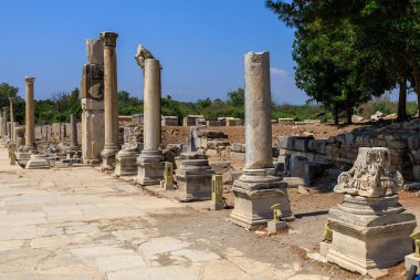 Eski sütunların kalıntıları. Seçici odaklı arkaplan ve metin için alanı kopyala
