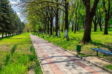Güneşli bir günde yemyeşil ağaçlar ve banklarla dolu sakin bir park yolu. 2 Mayıs 2023 Romanesti Moldova.