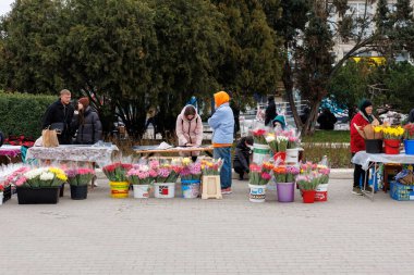 7 Mart 2024 Balti Moldova. İllüstrasyon başyazısı. Bahar tatili için çiçek fuarı