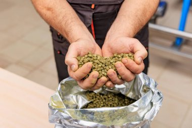 Kafkasyalı yetişkin erkek bira fabrikasında demlendiği için sıçrayışlarla uğraşıyor..