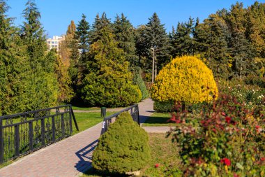 Köprüsü ve ağaçları olan bir park. Ağaçlar yeşil ve sarı. Park huzurlu ve rahatlatıcı.