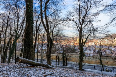 Arkasında şehir olan karlı bir orman. Karla kaplı ağaçlar ve sakin şehir manzarası huzur ve sükunet hissi yaratırken manzara huzurlu ve huzurlu. 14 Aralık 2024 Brasov Romanya