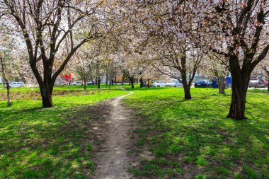 Ağaçlı ve kırmızı kalpli bir heykel olan parkta bir patika. Park bomboş ve ağaçlar çiçeklerle dolu. 1 Nisan 2024 Balti Moldova
