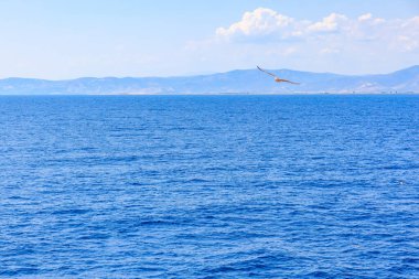 Okyanus sakin ve masmavi, yukarısı açık. Su durgun ve huzurlu. Dalgalar veya türbülans belirtisi yok. Sahne huzurlu ve huzurlu.