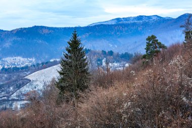 Önünde çam ağacı olan karlı bir dağ sırası. Gökyüzü bulutlu ve hava soğuk.
