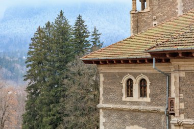 Kışın kiremit çatılı ve dağ zeminli tarihi taş bina.