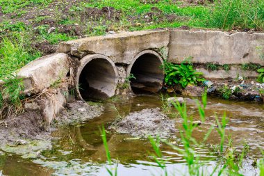 İçinden iki borunun çıktığı kirli, çamurlu bir hendek. Su bulanık ve çimenler büyümüş.
