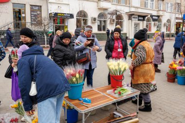 7 Mart 2024 Balti Moldova. İllüstrasyon başyazısı. Bahar tatili için çiçek fuarı