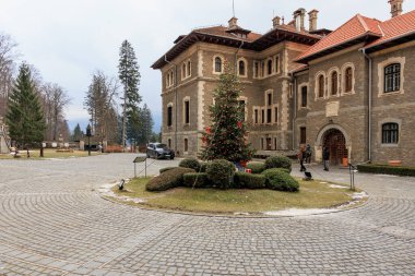 Önünde Noel ağacı olan büyük bir bina. 15 Aralık 2024 Busteni Romanya.