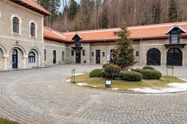 Önünde kırmızı bir çatı ve büyük bir ağaç olan bir bina. 15 Aralık 2024 Busteni Romanya.