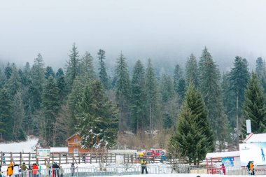 Karlı kış ormanı manzarası ve sisli dağ manzarasında daima yeşil ağaçlar. 15 Aralık 2024 'te Romanya.