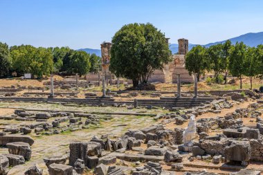 Büyük bir ağaç kayalardan oluşan bir tarlanın ortasında duruyor. Sahne huzurlu ve sakin, ağaçlar sükunet ve sükunet hissi veriyor. Yunanistan 'ın antik Filippi kentinin kalıntıları