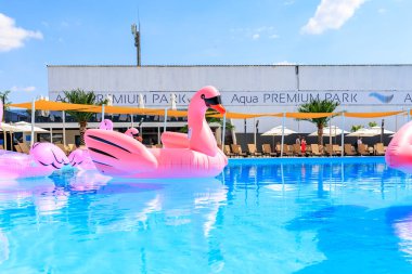Pembe bir flamingo havuzda yüzüyor. Havuz şemsiyeler ve sandalyelerle çevrilidir. 8 Haziran 2024 Balti Moldova